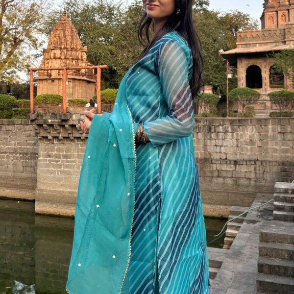 IMG_1503 Pure Organza Leheria Straight Suit Set