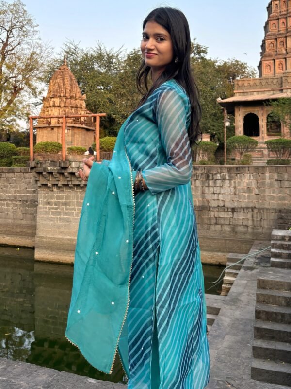 IMG_1503 Pure Organza Leheria Straight Suit Set