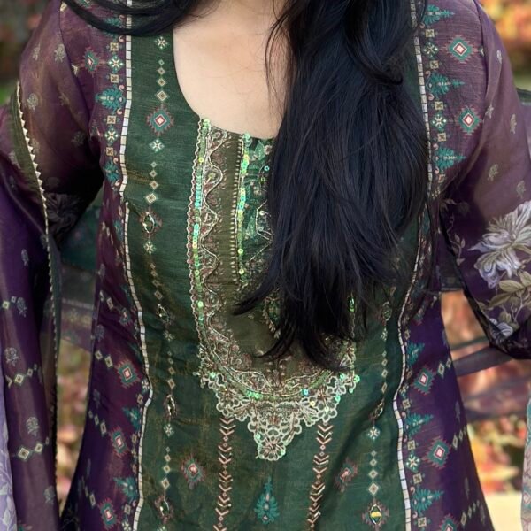 IMG_6032 Pakistani Luxe Green Straight Suit Set