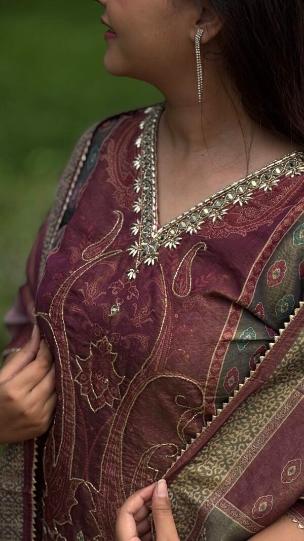Tissue Shimmer Pakistani Suit Set