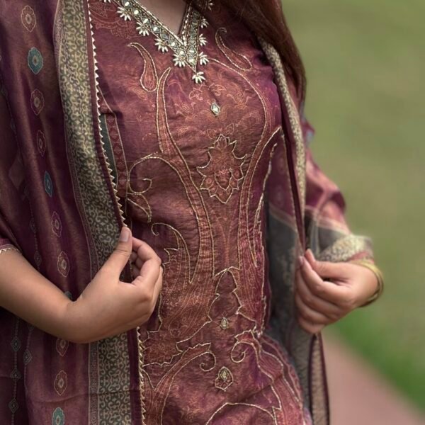 Tissue Shimmer Pakistani Suit Set