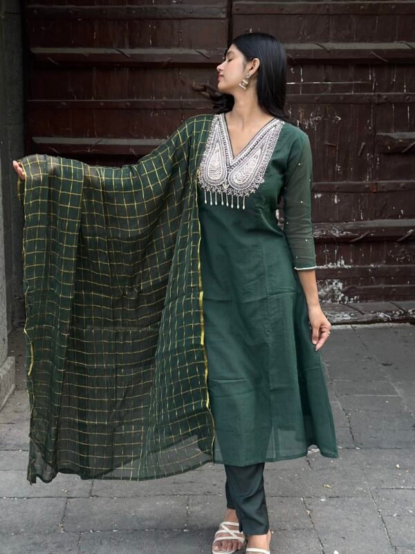 IMG_6800 Bagh A-Line Mul chanderi Embroidered Suit Set
