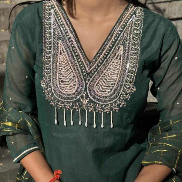 IMG_6802 Bagh A-Line Mul chanderi Embroidered Suit Set