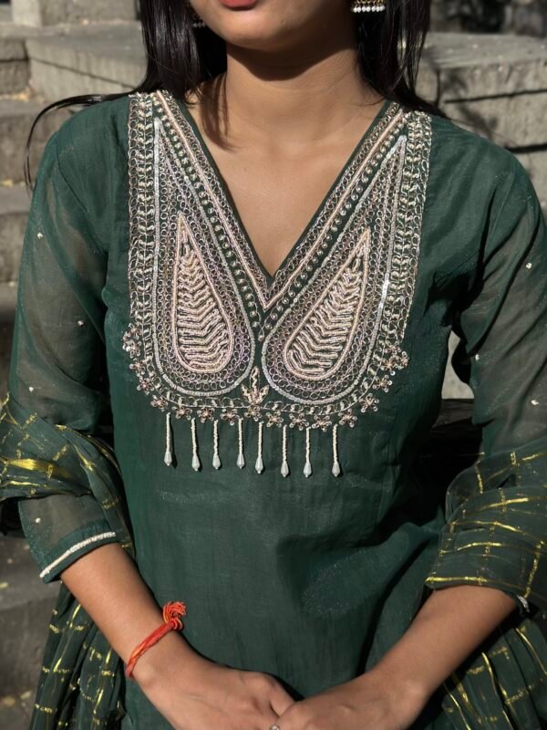 IMG_6802 Bagh A-Line Mul chanderi Embroidered Suit Set