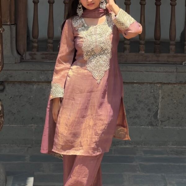 Screenshot Sahiba Crust Tissue Embroidered Pakistani Suit