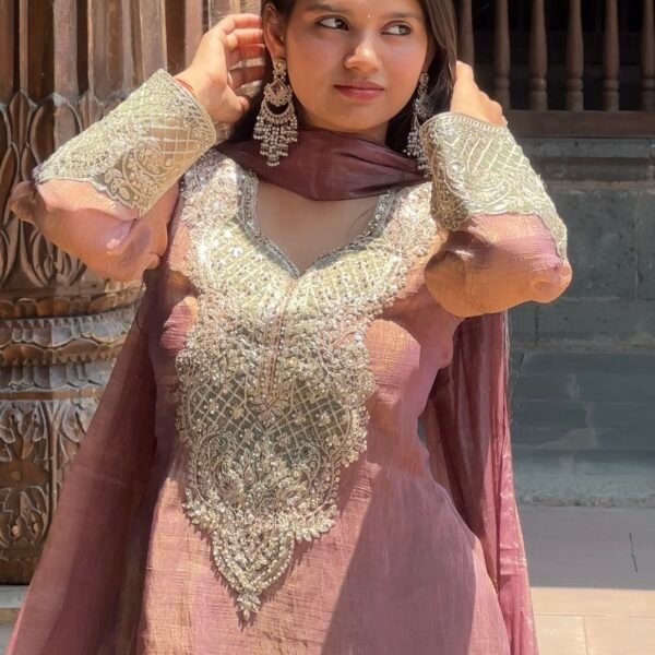 Screenshot Sahiba Crust Tissue Embroidered Pakistani Suit