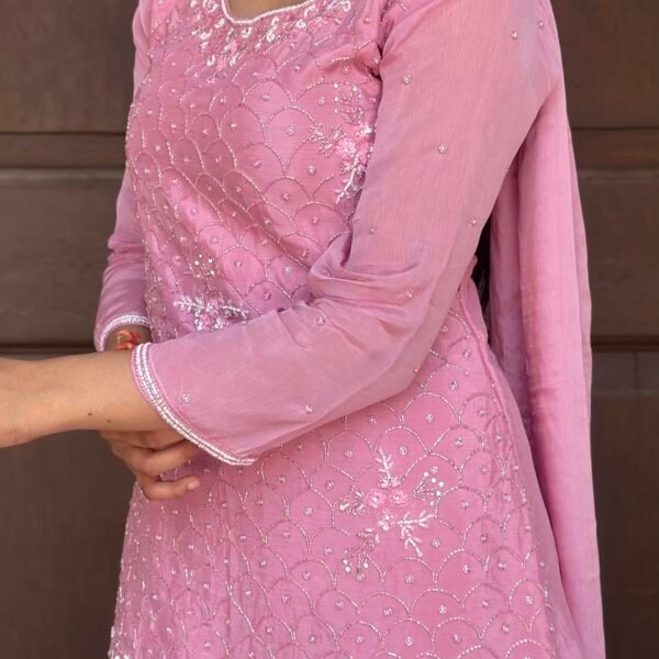 IMG_3192 Mishri Embroidered Sharara Suit Set