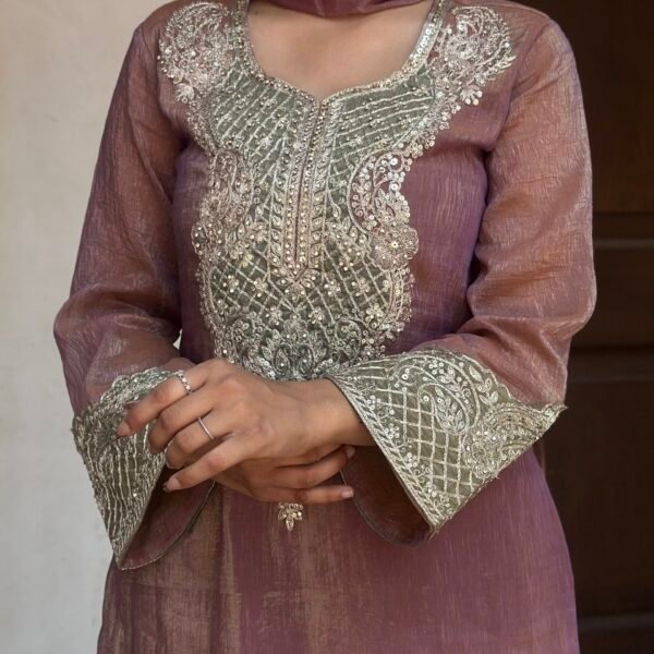 IMG_3237 Sahiba Crust Tissue Embroidered Pakistani Suit