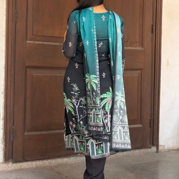 IMG_5370 Arohi Embroidered Pakistani Suit Set
