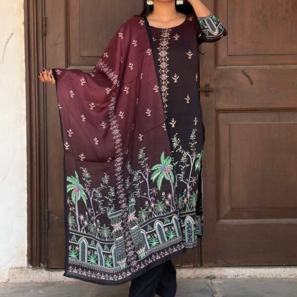 IMG_6289 Arohi Embroidered Pakistani Suit Set