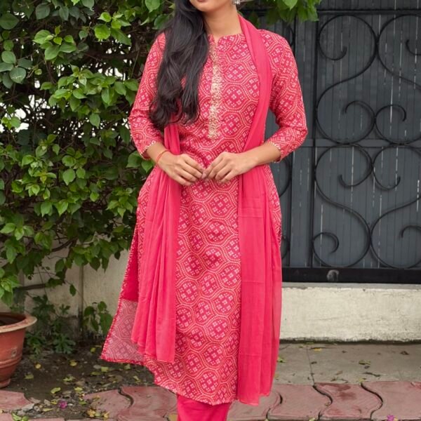 IMG_8349 Vanya Bandhej Embroidered Suit Set