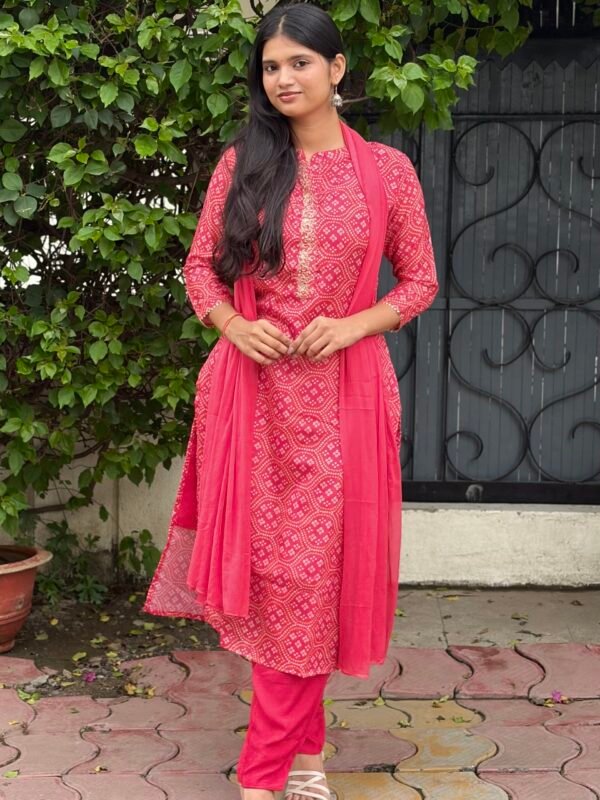 IMG_8349 Vanya Bandhej Embroidered Suit Set