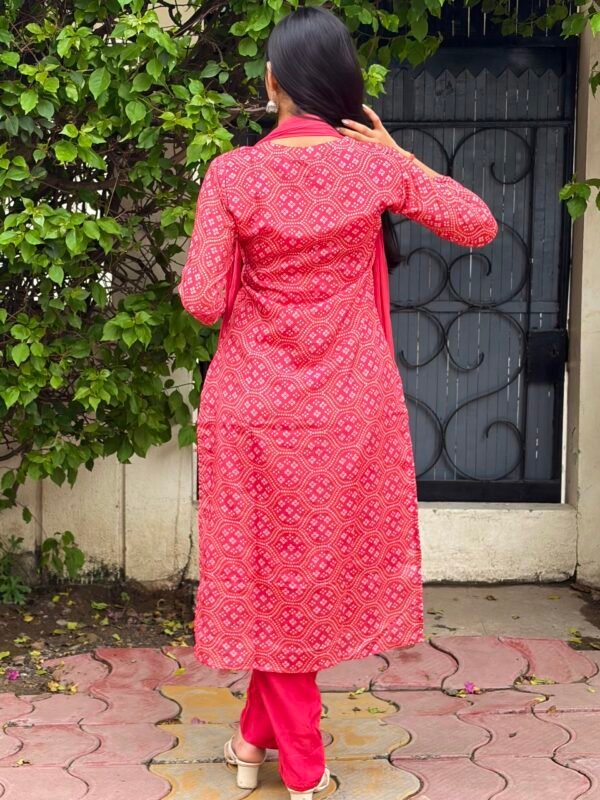 IMG_8352 Vanya Bandhej Embroidered Suit Set