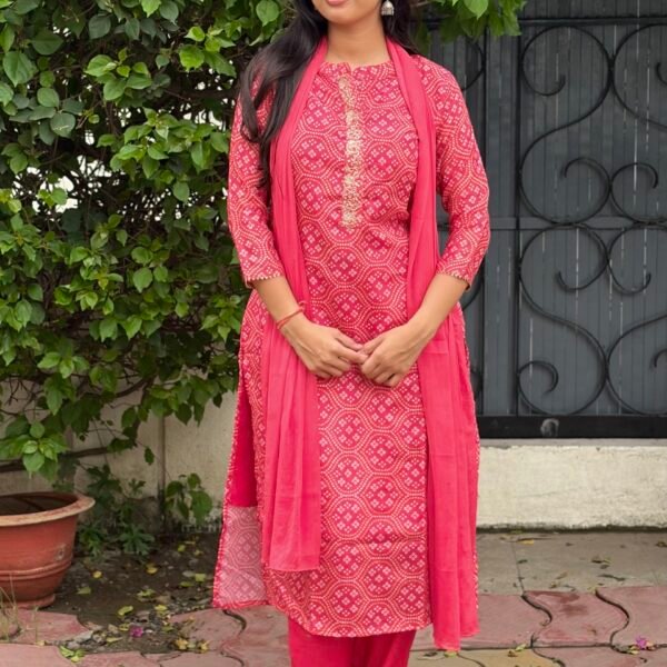 IMG_8353 Vanya Bandhej Embroidered Suit Set