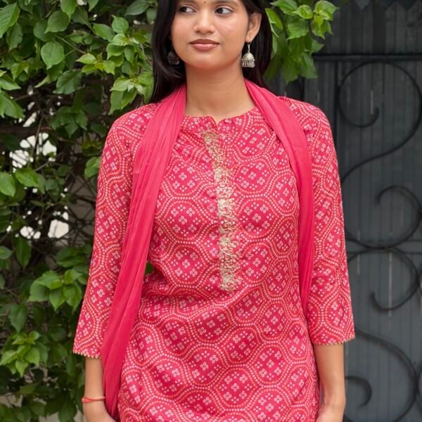 IMG_8354 Vanya Bandhej Embroidered Suit Set