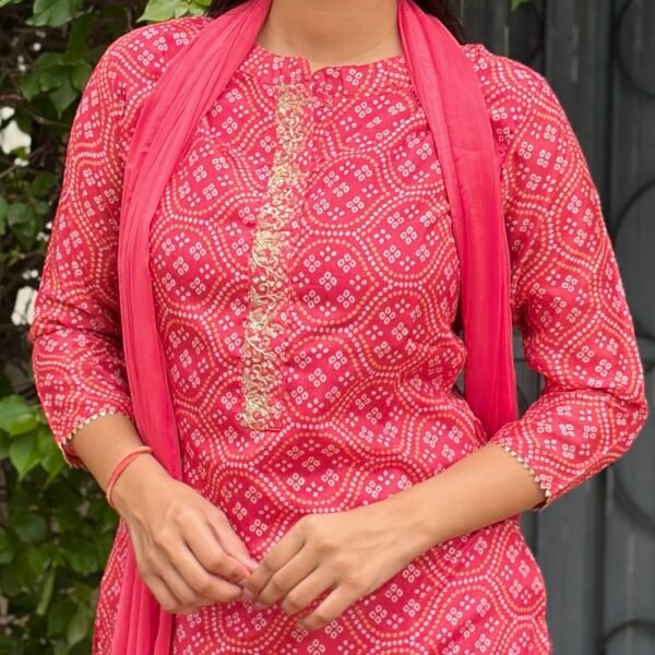 IMG_8355 Vanya Bandhej Embroidered Suit Set