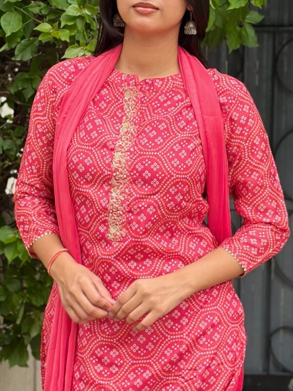 IMG_8355 Vanya Bandhej Embroidered Suit Set