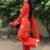 Sufi Rust Embroidered Farshi Salwar Suit